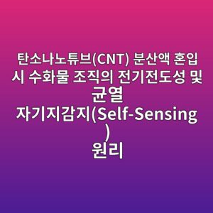 탄소나노튜브(CNT) 분산액 혼입 시 수화물 조직의 전기전도성 및 균열 자기지감지(Self-Sensing) 원리 4 ed8384ec868ceb8298eb85b8ed8a9cebb88ccnt ebb684ec82b0ec95a1 ed98bcec9e85 ec8b9c ec8898ed9994ebacbc eca1b0eca781ec9d98 eca084eab8b0eca084 1789537049